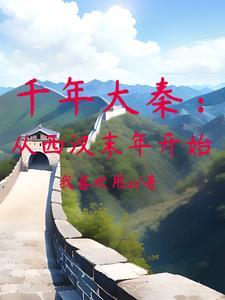 大秦出使汉朝
