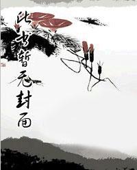 极品女婿
